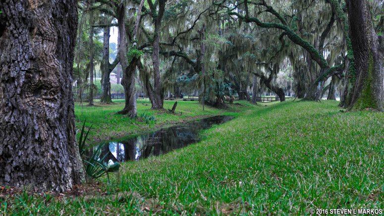 Remains of the original moat around the Frederica town site on St. Simons Island