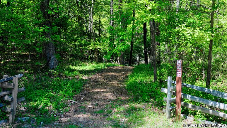 Nature Trail trailhead at the Popes Creek Picnic Area parking lot, George Washington Birthplace National Monument
