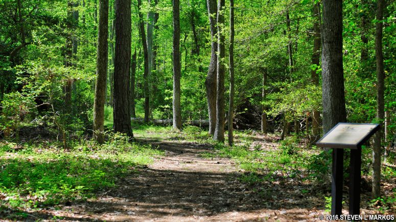 Wayside exhibits along the Nature Trail at George Washington Birthplace National Monument