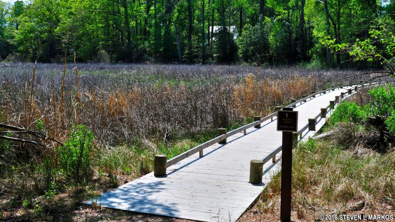 Intersection of the Nature Trail and Dancing Marsh Trail at George Washington Birthplace National Monument