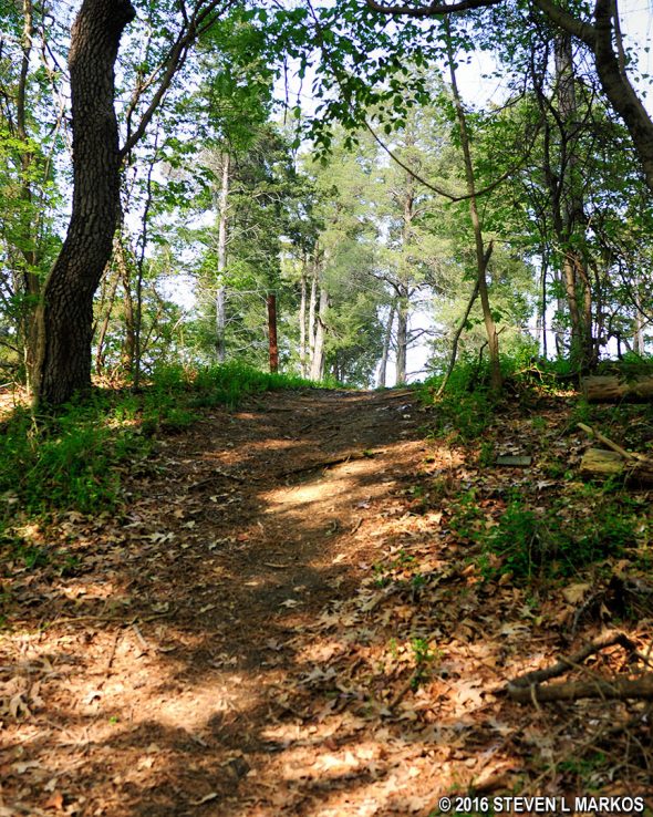 Hill on the Nature Trail at the Popes Creek Picnic Area, George Washington Birthplace National Monument