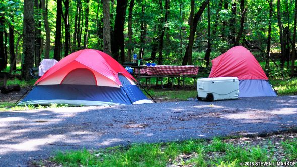 Tent camping at Greenbelt Park Campground