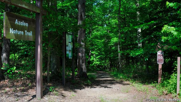 Start of the Azalea Trail in Greenbelt Park