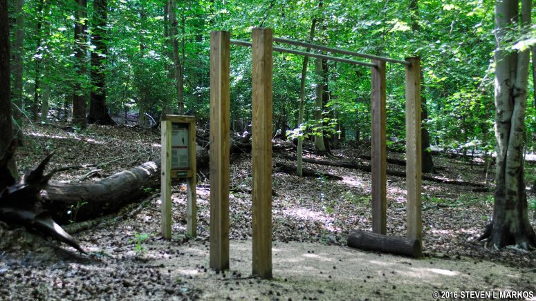 Exercise station on merged section of the Azalea and Fit trails in Greenbelt Park