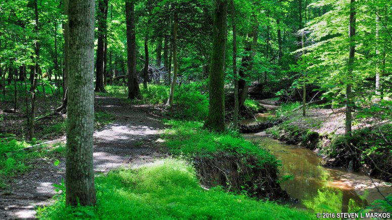 Azalea Trail in Greenbelt Park runs along the North Branch Still Creek