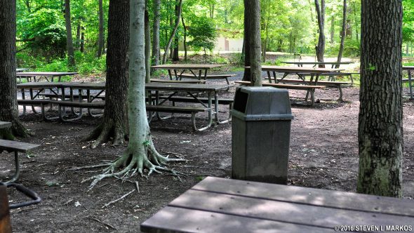 Laurel Picnic Area in Greenbelt Park