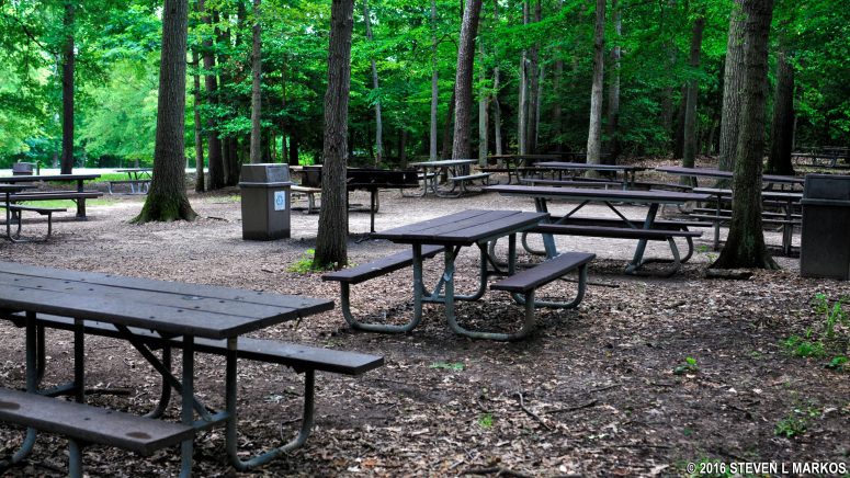 Holly Picnic Area in Greenbelt Park