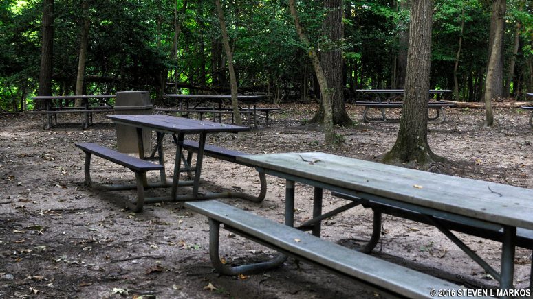 Picnic tables to the left of the restroom at the Holly Picnic Area in Greenbelt Park