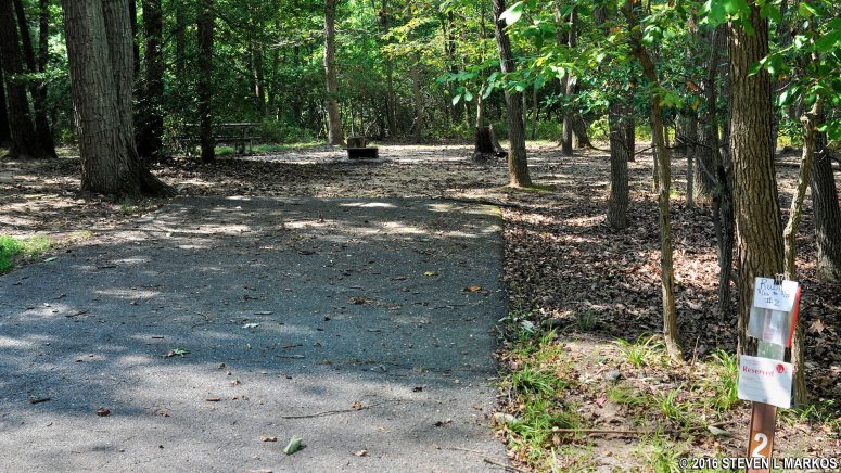 Inside loop site in the Group Campground at Greenbelt Park