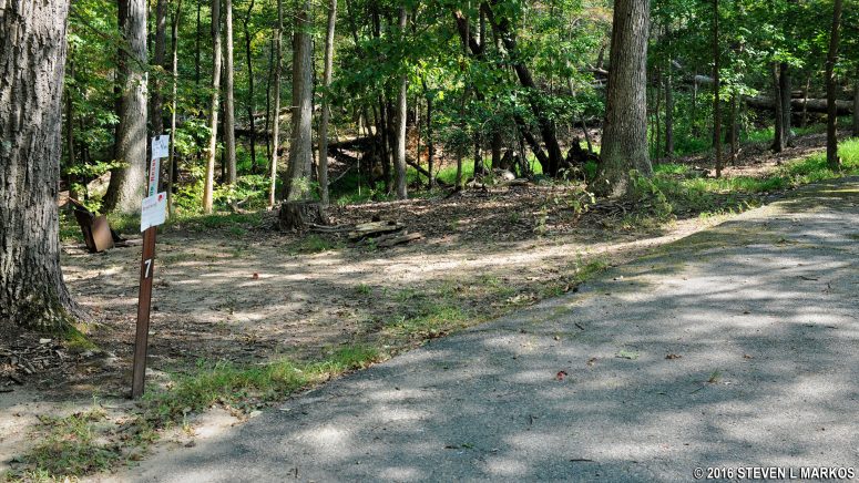Typical sloped site on the outside area of the loop road at Greenbelt Park's Group Campground