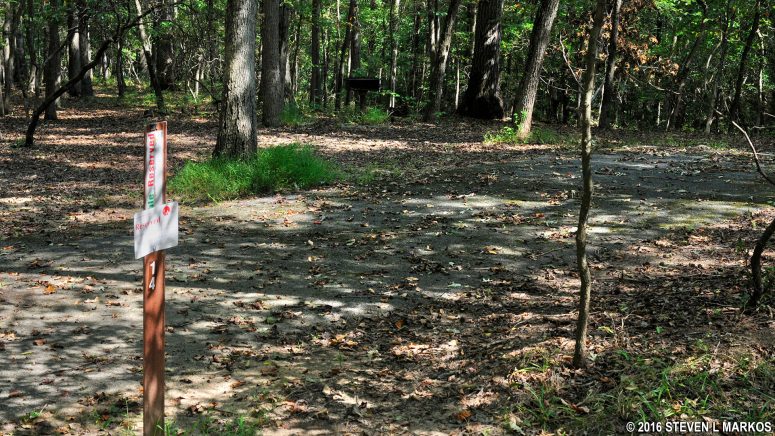 One of the few level outside loop sites at Greenbelt Park's Group Campground