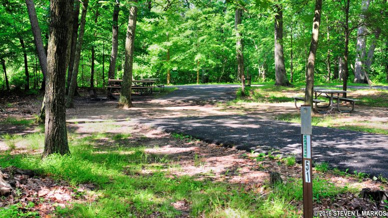 Inner loop sites along B Loop in Greenbelt Park Campground back up to each other