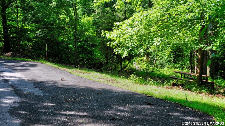Campsite 59 in the B Loop of the Greenbelt Park Campground is a typical sloped site on the outside the loop