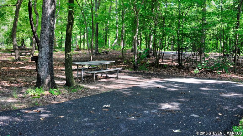 Level, inner loop site along B Loop in Greenbelt Park Campground
