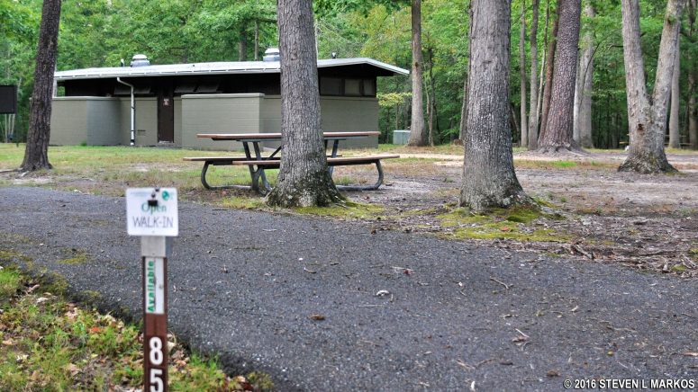 Tent site along the C Loop at Greenbelt Campground