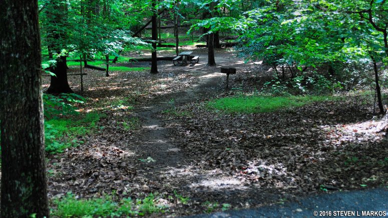 Campsite 122 in the D Loop of Greenbelt Park Campground