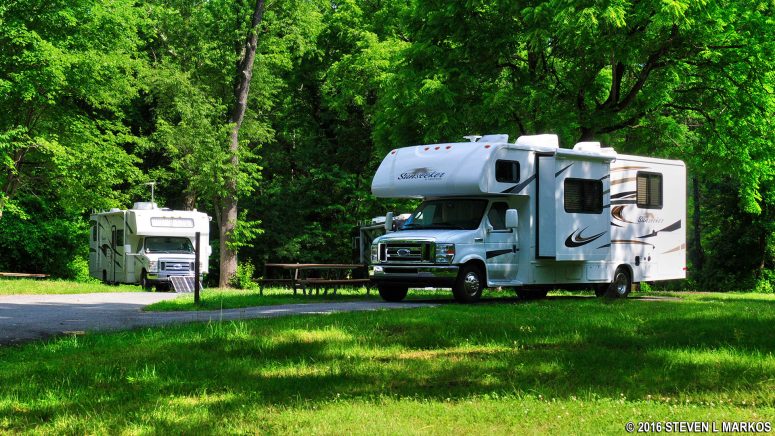 No shade at campsites located at the far end of D Loop in Greenbelt Park Campground