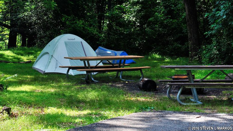 Tent camping at Campsite 146 in the D Loop of Greenbelt Park Campground