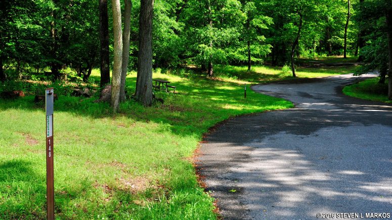 Sloped terrain at Campsites 148 and 150 in the D Loop of Greenbelt Park Campground