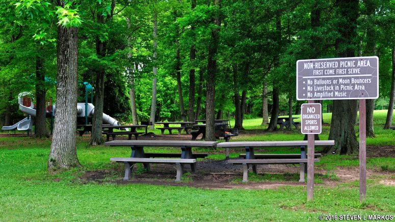 No Livestock in Picnic Area sign at the Sweetgum Picnic Area in Greenbelt Park