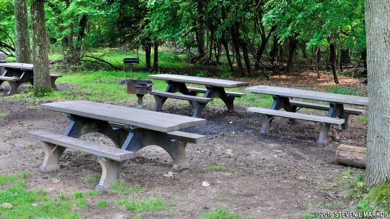 Picnic tables in Greenbelt Park's Sweetgum Picnic Area near the baseball field