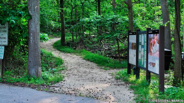 Start of the Dogwood Nature Trail in Greenbelt Park