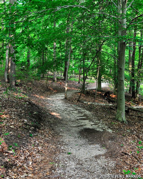 Typical terrain of the Dogwood Nature Trail in Greenbelt Park