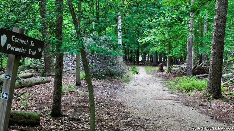 Intersection of the Dogwood Nature Trail and a connector to the Perimeter Trail in Greenbelt Park