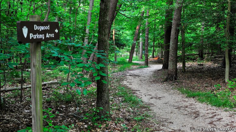 Intersection of the northern loop of the Dogwood Nature Trail and the connector back to the parking lot, Greenbelt Park