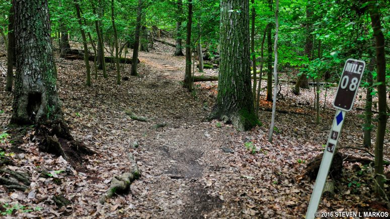 Typical terrain on the stick portion of the Blueberry Nature Trail in Greenbelt Park