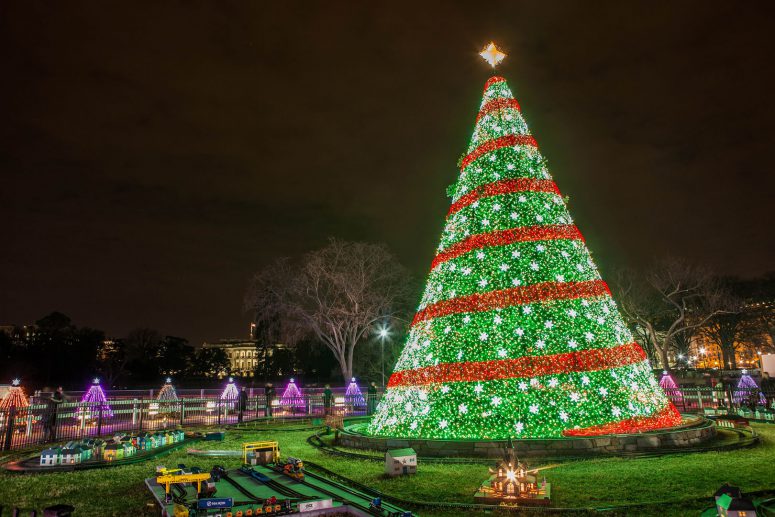 2014 National Christmas Tree surrounded by smaller decorated trees (photo by Anthony Quintano)