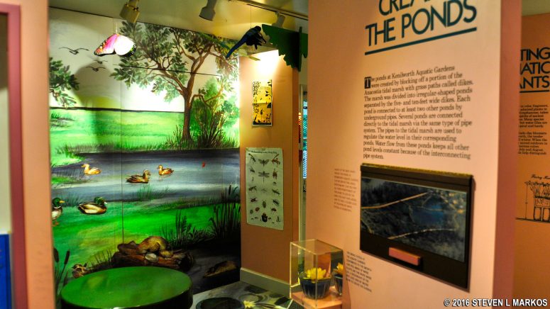 Exhibits at the Kenilworth Park and Aquatic Gardens Visitor Center