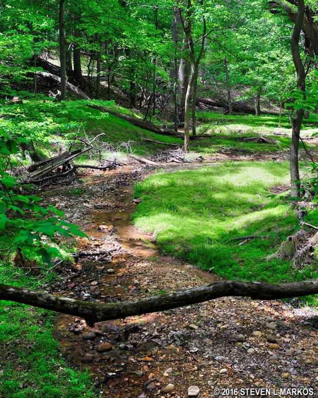 Small creek follows along the Woodlot Nature Trail at Oxon Cove Park in Maryland