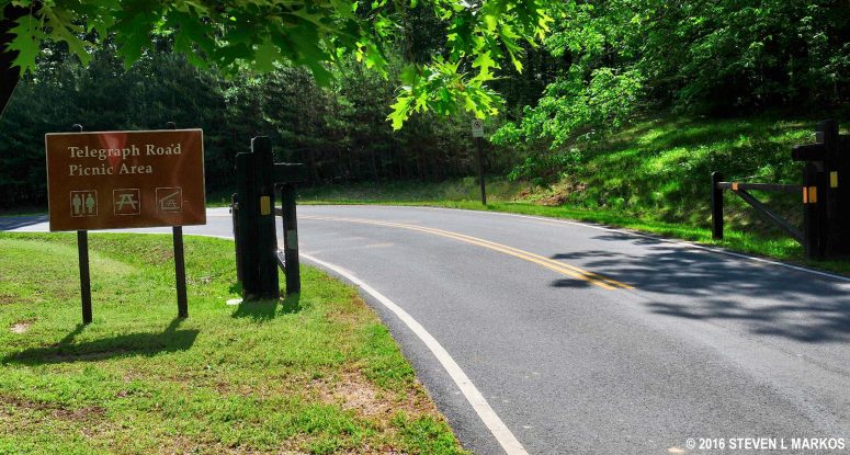 Road in Prince William Forest Park to the Telegraph Road Picnic Area