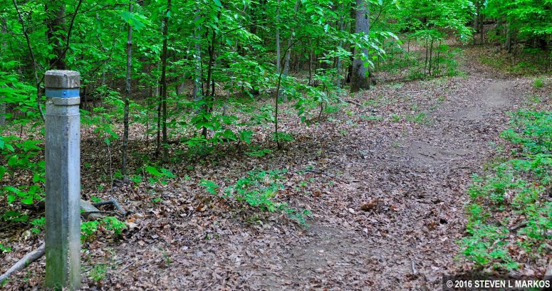 Intersection of The Crossing and Birch Bluff trails at Prince William Forest Park