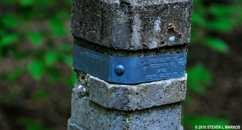 Close-up of a typical trail marker in Prince William Forest Park