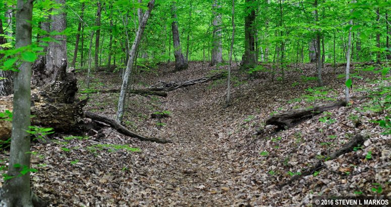 A section of the Bluff Trail at Prince William Forest Park follows a segment of the Potomac Path