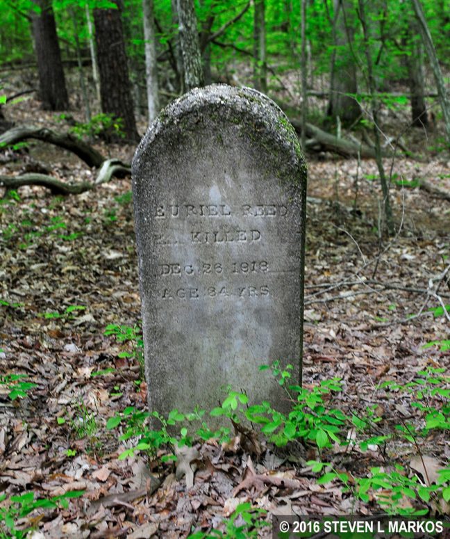 Tombstone at the Cannon-Reed Cemetery along the Birch Bluff Trail in Prince William Forest Park