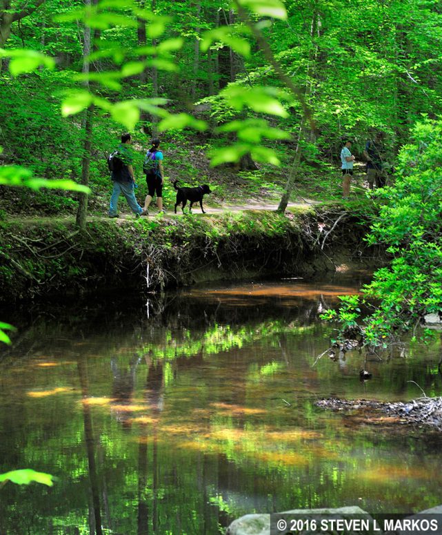 Hikers on the South Valley Trail at Prince William Forest Park