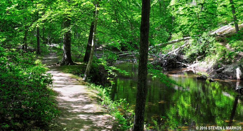 Birch Bluff Trail and South Fork Quantico Creek in Prince William Forest Park