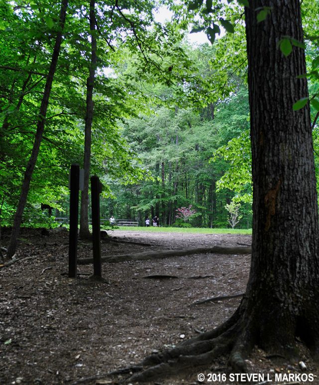 End of the Laurel Loop Trail at the Pine Grove Picnic Area in Prince William Forest Park