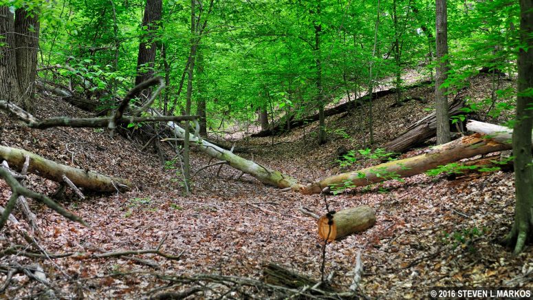 A section of the Potomac Path, aka Telegraph Road, runs through Prince William Forest Park