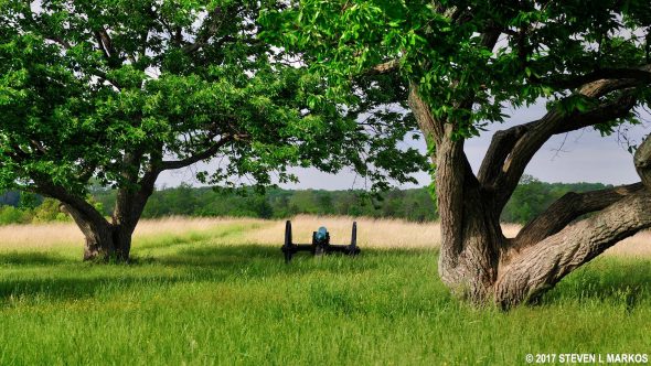Cannon on display at the Battery Heights stop on the Second Manassas Battlefield Tour, Manassas National Battlefield Park