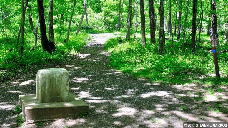 Intersection at the Stovall memorial where the Matthews Hill and First Manassas Trails merge, Manassas National Battlefield Park