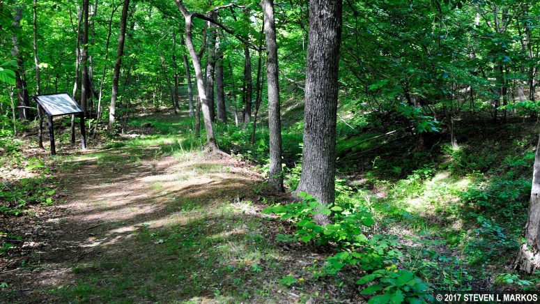 Typical terrain along a segment of the Sudley Loop Trail that follows an unfinished railroad bed, Manassas National Battlefield Park