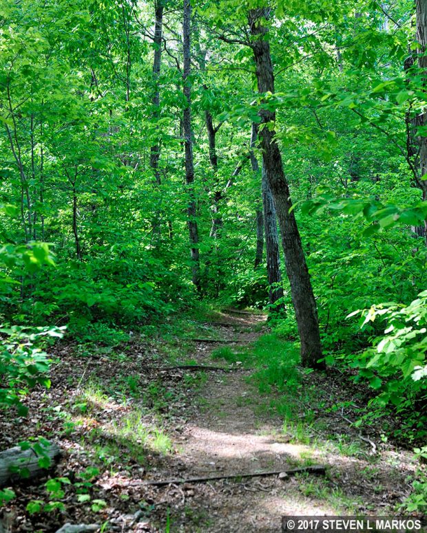 Steep hill on the Sudley Loop Trail leads down to Bull Run, Manassas National Battlefield Park
