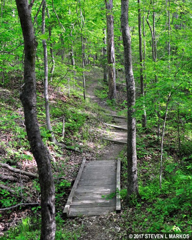 Hilly portion of the Sudley Loop Trail in Manassas National Battlefield Park