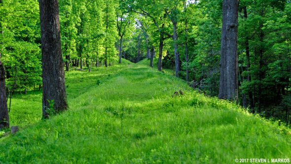 Top of the elevated railroad bed on the Unfinished Railroad Loop Trail in Manassas National Battlefield Park