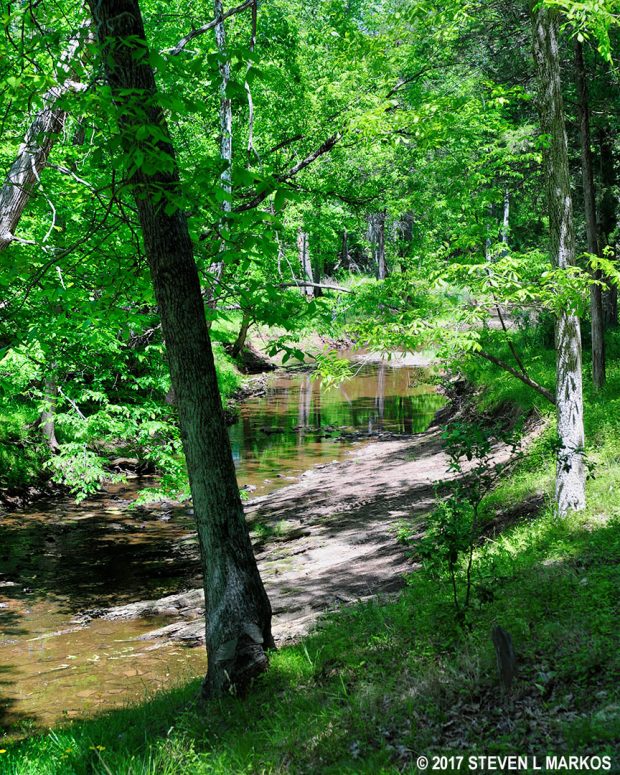 Youngs Branch near Chinn Ridge, Manassas National Battlefield Park