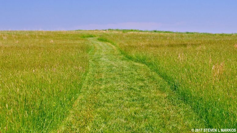 Path to the Ball Cemetery at the Portici Plantation stop on the Second Manassas Battlefield Tour, Manassas National Battlefield Park